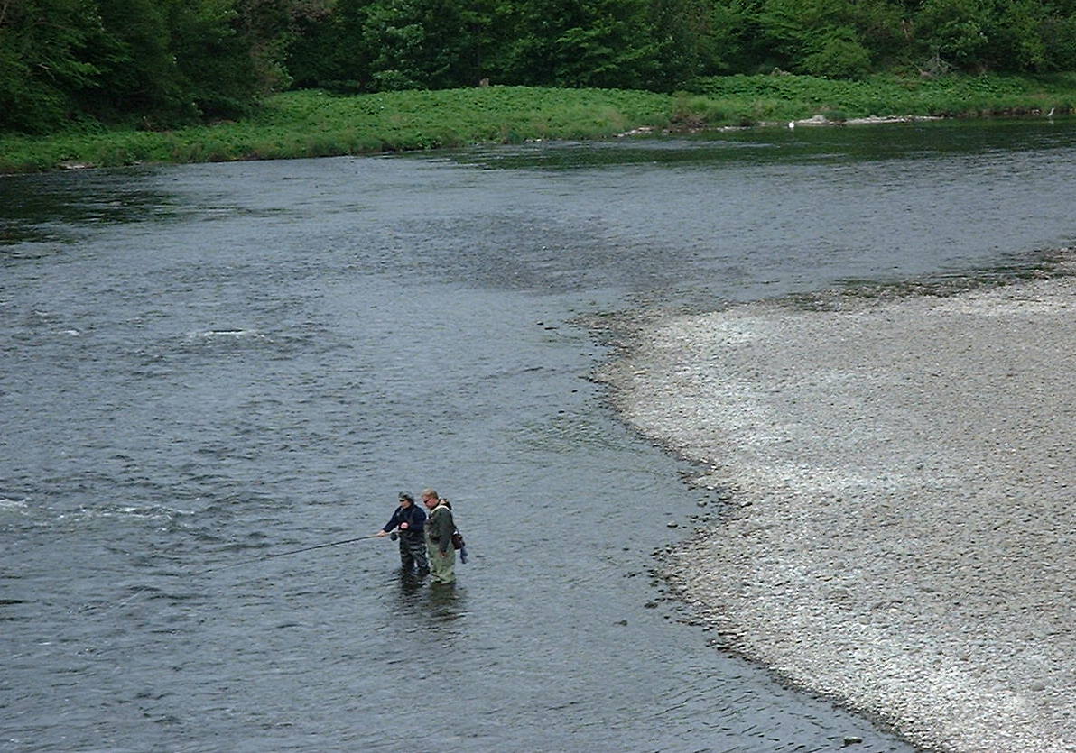 Salmon fishing on River Tweed<